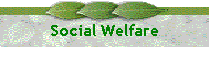 Social Welfare