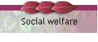 Social Welfare